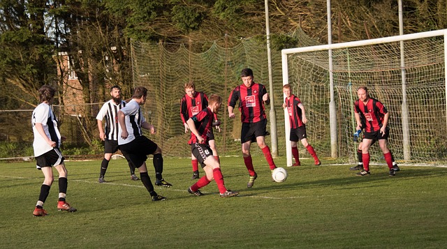 贡献自己的 贡献自己的