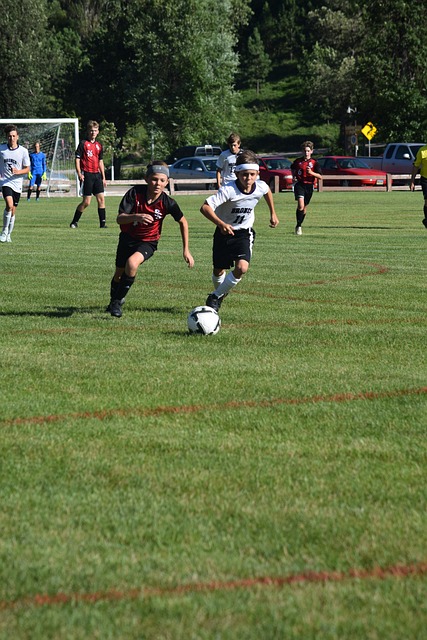 理查利森加 理查利森加