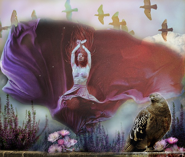 绽放光彩 绽放光彩