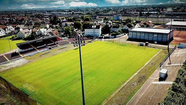 他迅速适应 他迅速适应